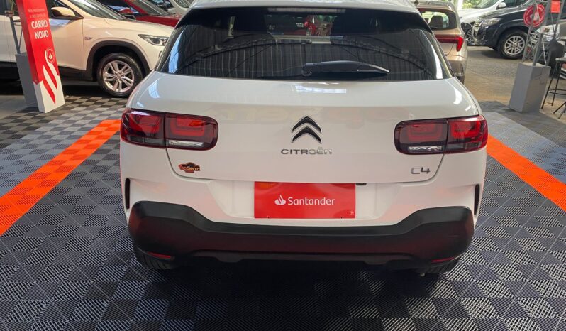 C4 Cactus Feel 2022 cheio