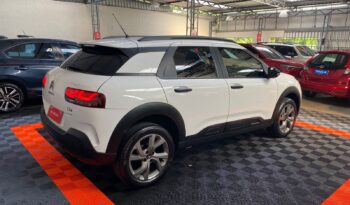 C4 Cactus Feel 2022 cheio