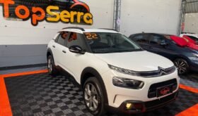 C4 CACTUS 2022