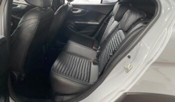 Fastback Limited Edition 2024 cheio
