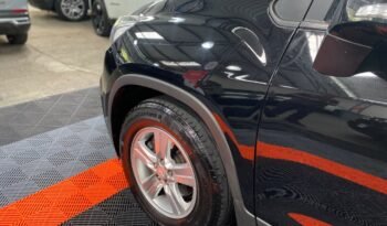 Tracker Lt 2018 cheio